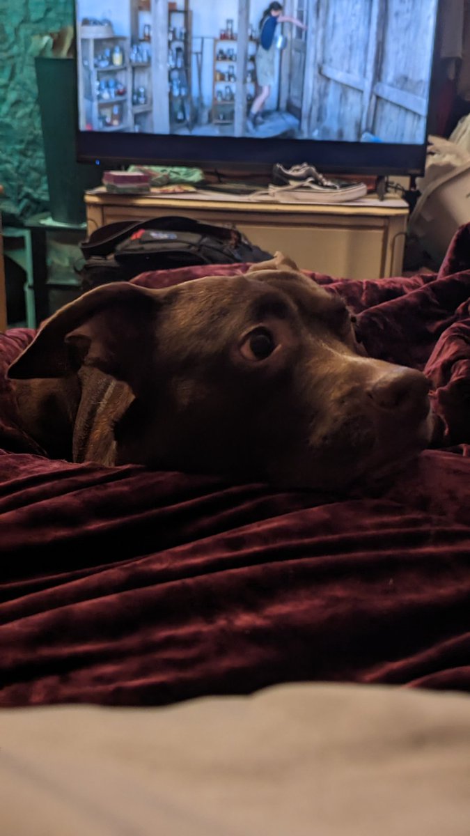 Hush1e's tweet photo. I think someone missed me ❤️ https://t.co/5lovikJ0gT