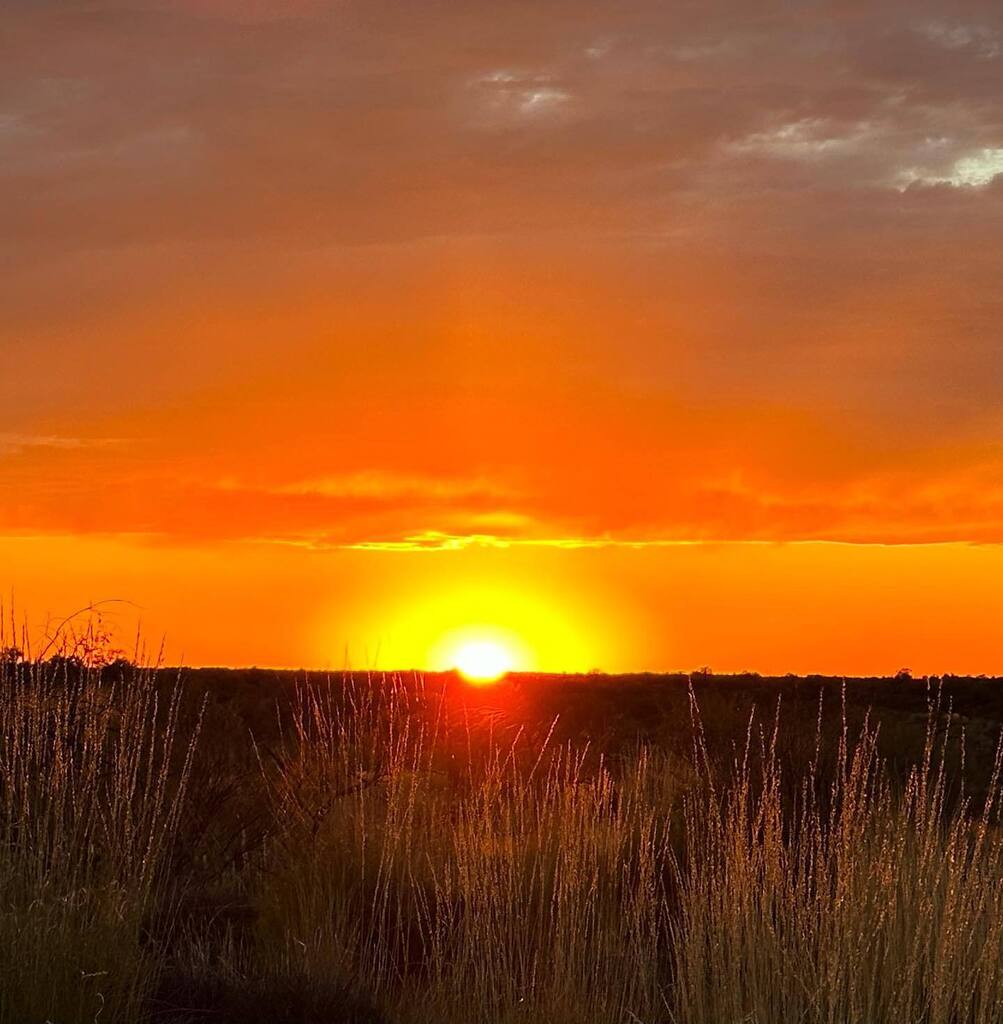 Today we experienced sunrise at “Uluru!” If you think it is crazy to drive out into the Uluru-Kata Tjuta National Park at 5:30 in the morning to see this, you would be wrong. It is a wonder to behold as the eleven-story monolith comes to life in the morn… instagr.am/p/Cp_kWcdLvEV/