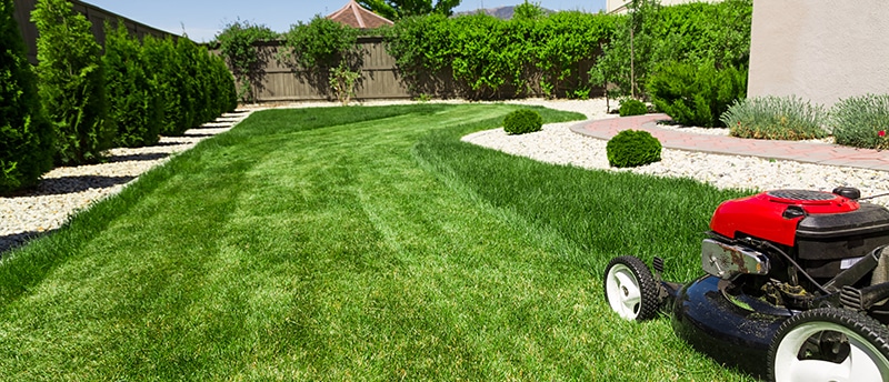 Turf Smart Lawn & Snow Care (@TurfSmartCare) / Posts / X