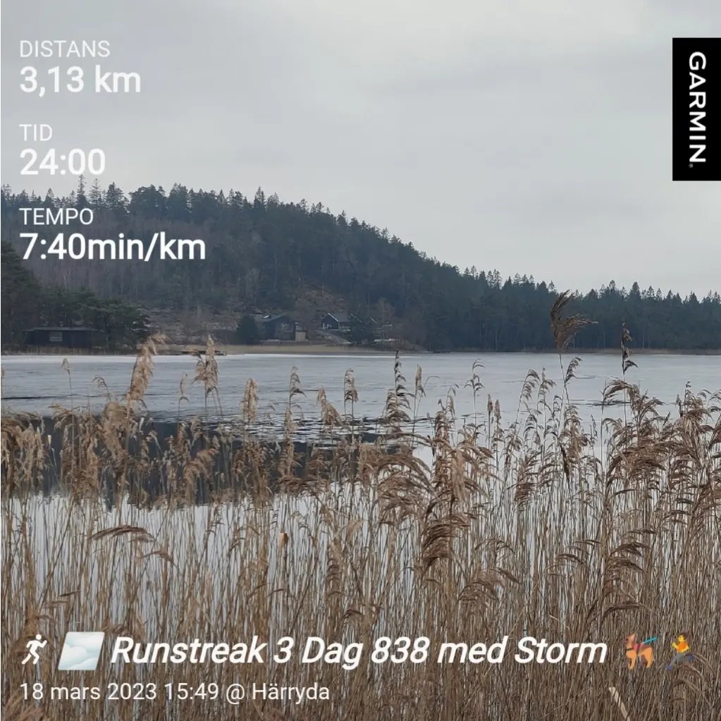 chribban's tweet photo. Allting har ett slut... Uppenbarligen har även min RS3 det 😭
Värk i höger ben som övergick i kraftig smärta. Helt omöjligt att springa efter en stund. Var tvungen att gå/halta hem i lördags.
838 dagar löpning i sträck tar nu slut.
#runstreak #runeveryday #running #runwithdog https://t.co/nyL4LOW2QW