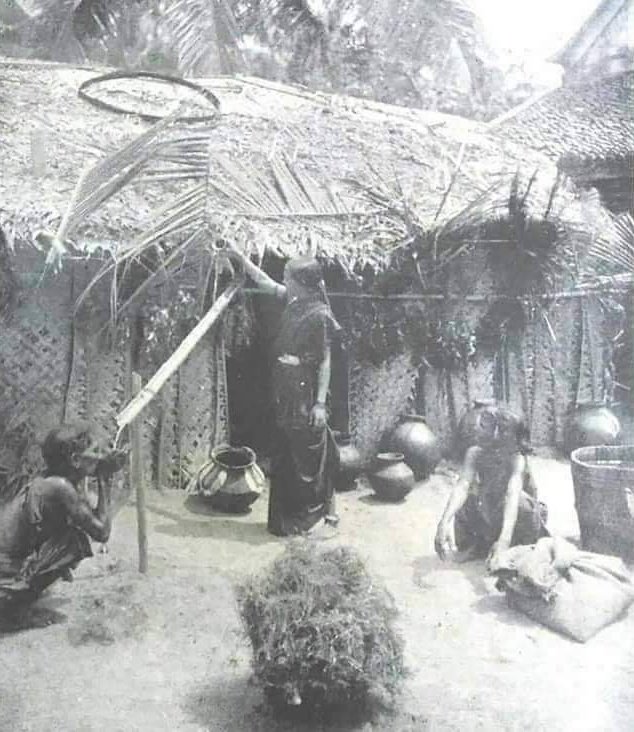 This photo is enough to understand the importance of Mahad's Chavdar Satyagraha in human history.
