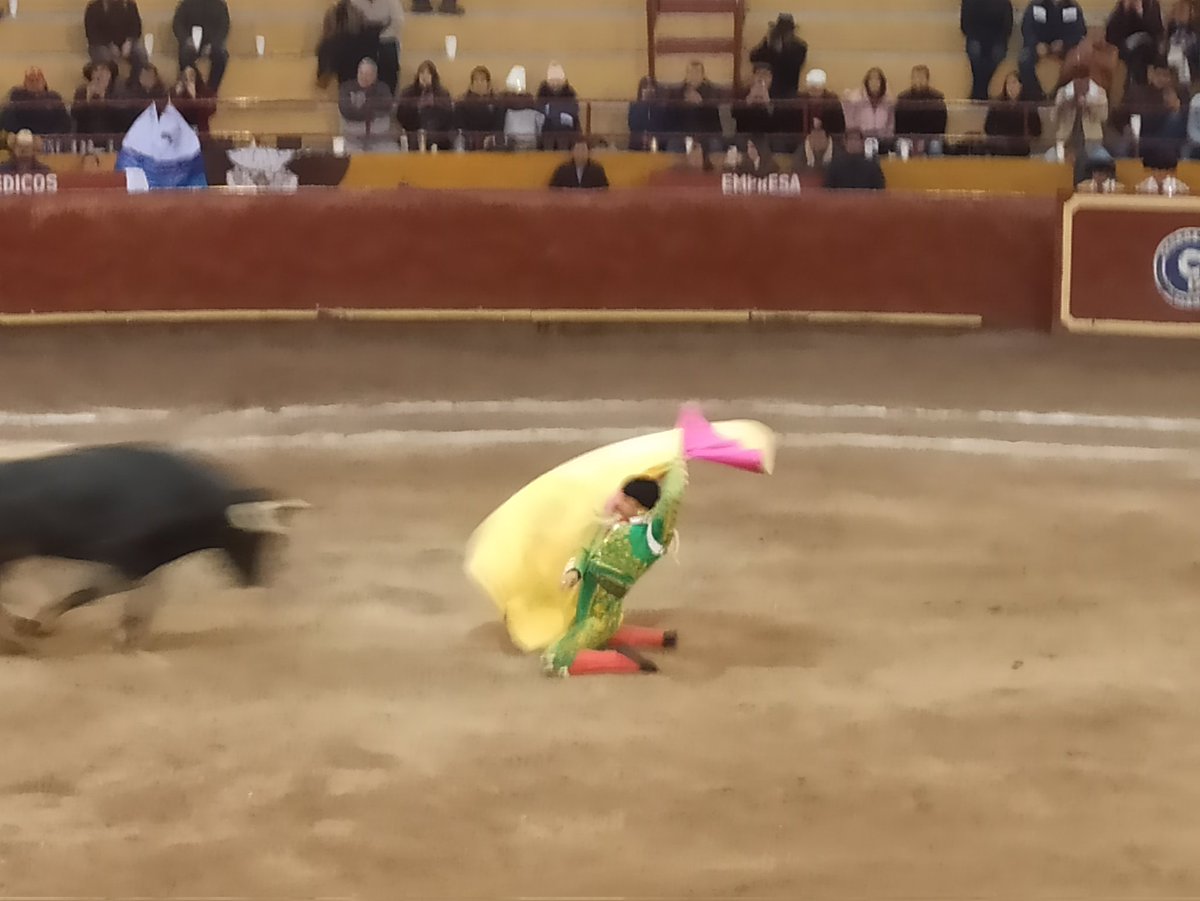 adeleonr's tweet photo. Domingo de toros https://t.co/wpzi8NsWT3