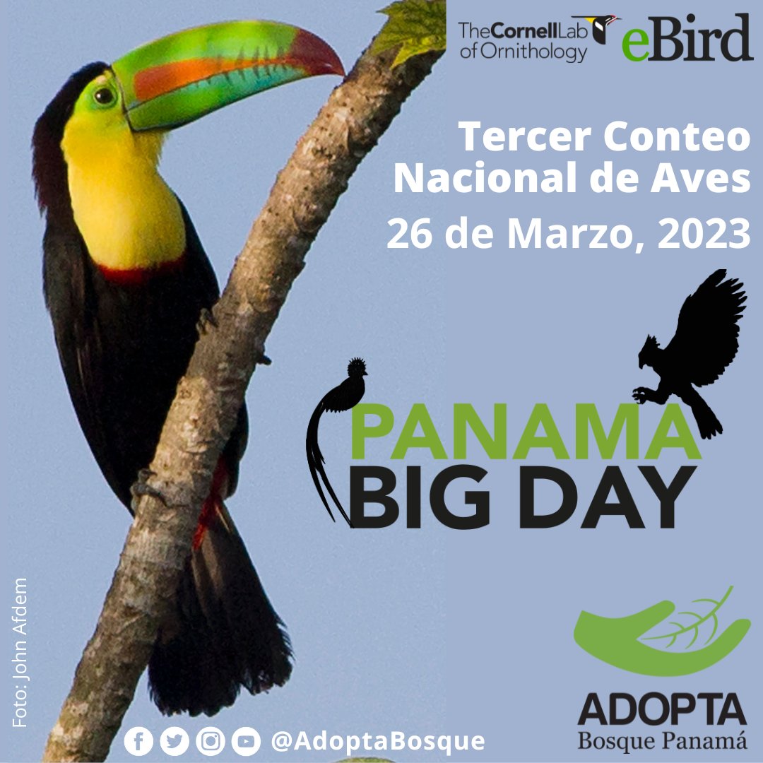 adoptabosque's tweet photo. Dom 26 marzo será III Conteo Nacional de Aves #PanamaBigDay Oportunidad para que las personas Reporten las aves en su entorno. Las Observaciones compiladas en @Team_eBird @CornellBirds  Tendremos Fabuloso Premios para los Grupos que Reporten la mayor cantidad de Especies de Aves! https://t.co/QiQd6HpyAQ