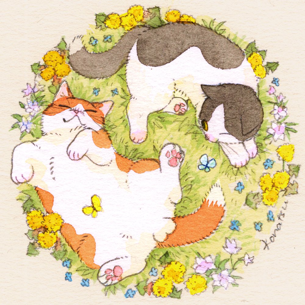 cat no humans flower animal focus yellow flower lying blue flower  illustration images