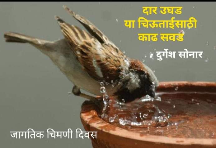 Durgeshsonar's tweet photo. #WorldSparrowDay https://t.co/bnWwTjFTcm
