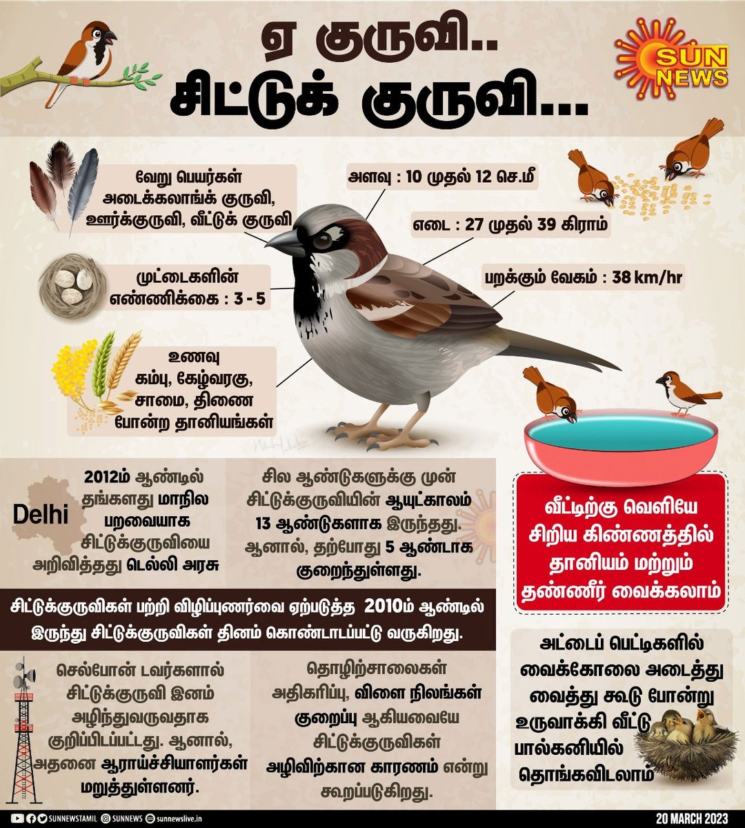 sunnewstamil's tweet photo. ஏ குருவி.. சிட்டுக் குருவி... 

இன்று உலக சிட்டுக் குருவிகள் தினம்!

அழிந்து வரும் சிட்டுக் குருவிகள் இனத்தை பாதுகாப்பது குறித்து, மக்களிடம் விழிப்புணர்வை ஏற்படுத்தும் விதமாக மார்ச் 20ம் தேதி உலக சிட்டுக்குருவி தினம் அனுசரிக்கப்படுகிறது

#SunNews | #WorldSparrowDay https://t.co/8urdxspNPD
