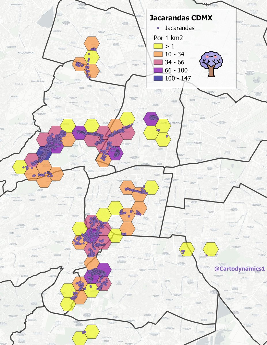 cartodynamics1's tweet photo. Lo mejor de la primavera en CDMX son las jacarandas. Hice el mapeo de algunas de ellas a "ojímetro", basandome en las imágenes de Google Earth. 

Seguro faltan muchas más https://t.co/hz7fJGnE2g