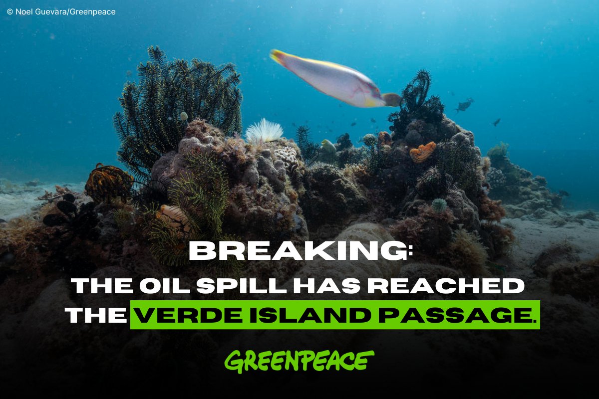 gpph's tweet photo. BREAKING: The MT Princess Empress OIL SPILL has reached the Verde Island Passage, a rich hub of marine life. 

This disaster is not going away anytime soon, and yet companies responsible are taking their sweet time to address this. (1/2)

📸 Noel Guevara/Greenpeace https://t.co/rXzYJ639sl
