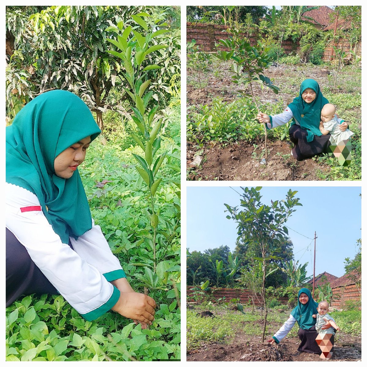 SemestaRindu's tweet photo. #HariDesaAsriNusantara

@jokowi
@halimiskandarnu
@kemendespdtt
@malik_haramain
@imansyukri
@taufikmadjid71
@yusradaridesa
@azzameldzikrie
@tppkemendes https://t.co/nOGKebMUFs