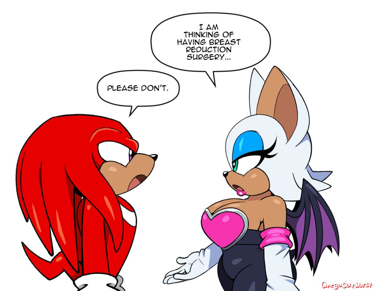 omegasunburst's tweet photo. I did the meme.

#RougeTheBat #KnucklesTheEchidna https://t.co/AX08WEbhd6