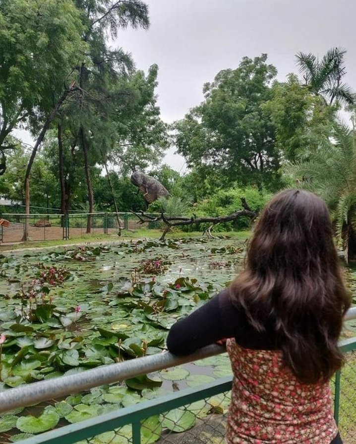 Amychaudhary41's tweet photo. #changedprofilepic #profilepic #Gnagar #Indrodapark #NatureBeauty #dinosaur
#Suprabhatham ๐ https://t.co/jLc80YCj8i