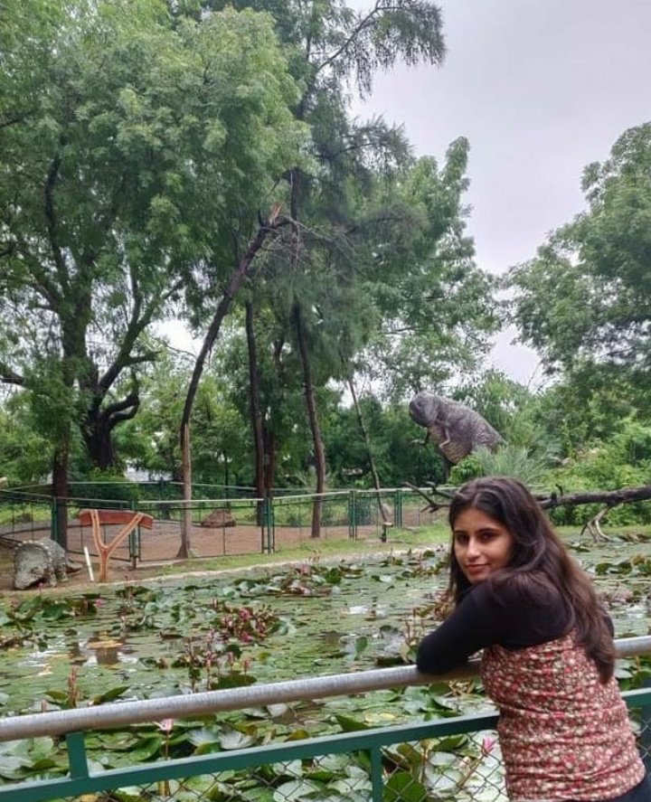 #changedprofilepic #profilepic #Gnagar #Indrodapark #NatureBeauty #dinosaur 
#Suprabhatham 🙏