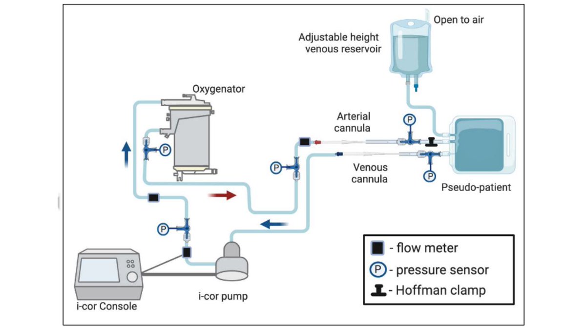 A Comprehensive #Evaluation of #Hemodynamic #EnergyProduction and #CircuitLoss using Four Different #ECMO Arterial Cannulae
👉bit.ly/3LzqV48
<a href="/UQ_News/">UQ News</a>🇦🇺| <a href="/LaStatale/">Università degli Studi di Milano</a>🇮🇹| @Silverheinsar #ECLS