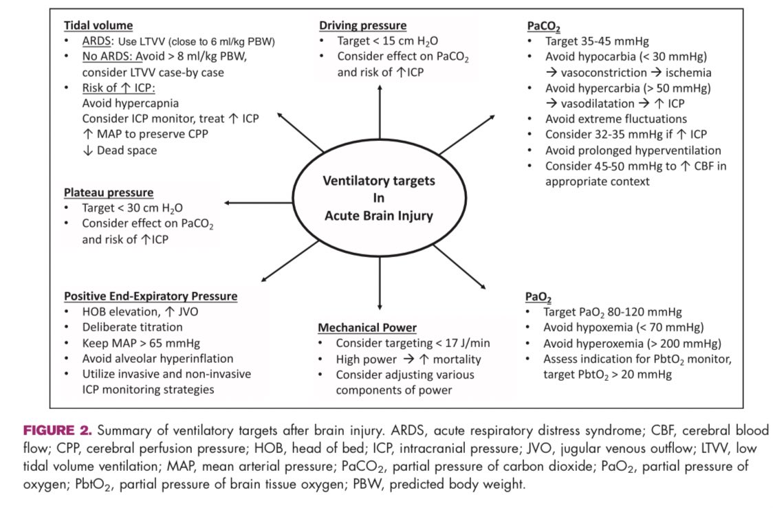 “Ventilatory targets following brain injury : Current Opinion in Critical Care.” #FOAMcc #FOAMed #SoMe4MV #NeuroCritCare #ARDS #LungProtectiveVentilation #AcuteBrainInjury #MedEd #MechanicalVentilation #MedEd #ReviewArticle #IntensiveCare #CriticalCare 📚 journals.lww.com/co-criticalcar…