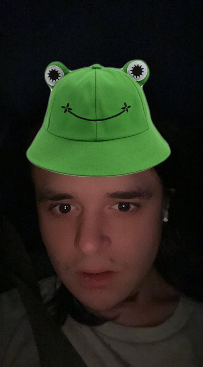spencerknotts's tweet photo. gecs frog-pilled me https://t.co/lMiZv2CUJD