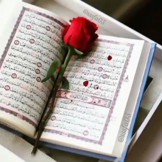 mehmet_alim_25's tweet photo. Selamün Aleyküm 
#Günaydın 

Ya Rabbi 
Bizleri dünyada #Vatansız, kabirde #Kefensiz, ahrette #İmansız bırakma

Dinimizi, imanımızı, ordumuzu yurdumuzu her türlü düşman şerrinden, semaviye ve araziye afetlerden muhafaza eyle.

Hayırlı Haftalar 
Sabah Namazı 

Kayseri den Selamlar https://t.co/HIYGUVyYPk