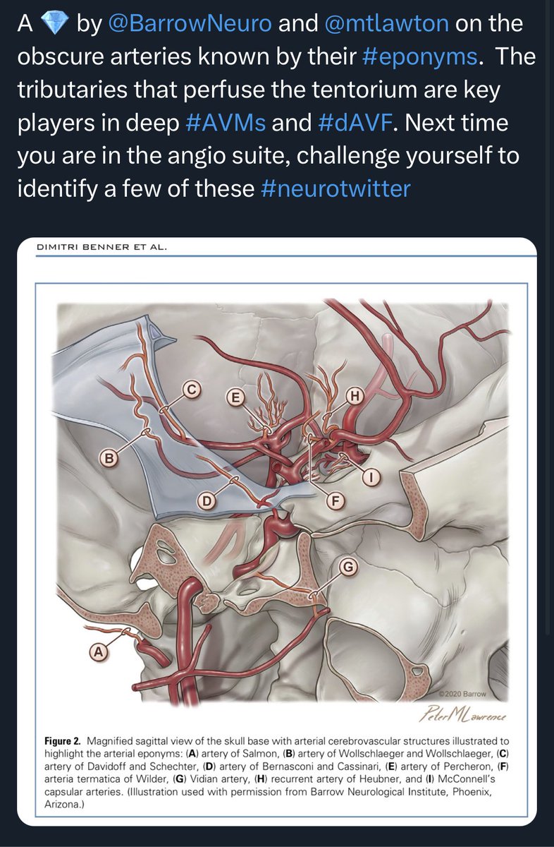 gabeknowz's tweet photo. My original tweet was deleted for some reason…🧐…posting it again for those who initially bookmarked it. Further, this is the publication doi: 10.1016/j.wneu.2021.01.115. https://t.co/WqA25n3WKT