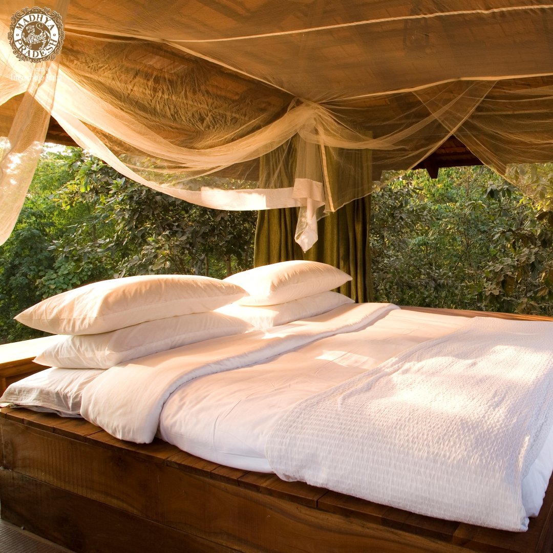 Madhya Pradesh Tourism (@mptourism) on Twitter photo Luxury in the #Wild
On your next trip to #PenchNationalPark, book your stay at Baghvan by <a href="/TajSafaris/">Taj Safaris</a> & experience the luxurious charm of this ultimate #jungle getaway.
For bookings, visit bit.ly/3L9JQlJ
#JungleSafari #Wildlife #Stay #Luxury #MadhyaPradesh #MPTourism Luxury in the #Wild
On your next trip to #PenchNationalPark, book your stay at Baghvan by <a href="/TajSafaris/">Taj Safaris</a> & experience the luxurious charm of this ultimate #jungle getaway.
For bookings, visit bit.ly/3L9JQlJ
#JungleSafari #Wildlife #Stay #Luxury #MadhyaPradesh #MPTourism