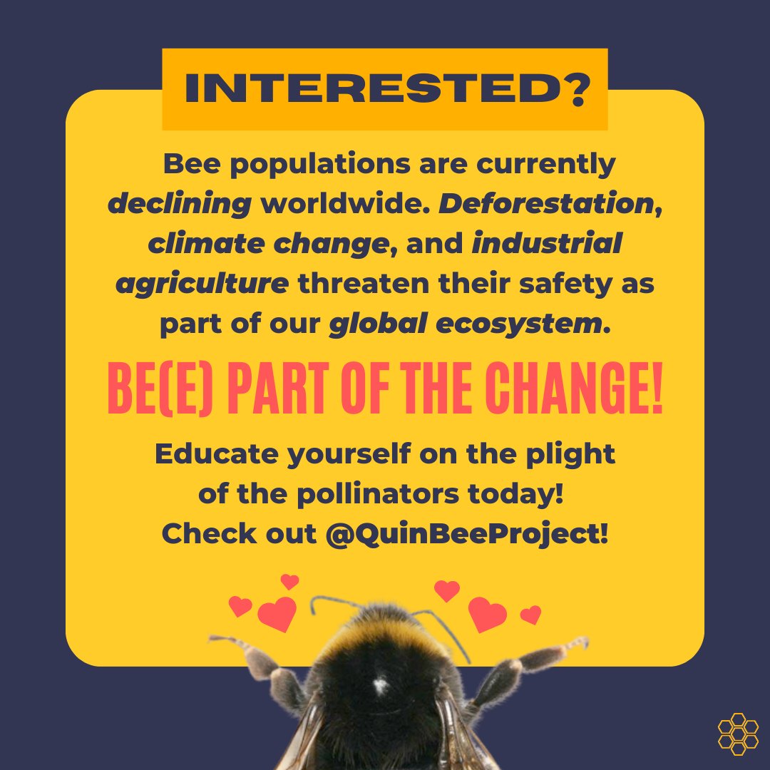 quinbeeproject's tweet photo. Bees play critical roles in our food security and the biodiversity of our planet's ecosystems. However, their populations are declining worldwide. Will YOU be(e) a part of the change today?

#bees #savethebees #climatechange #climatecrisis #globalwarming #beepartofthechange https://t.co/R3njr34eVk