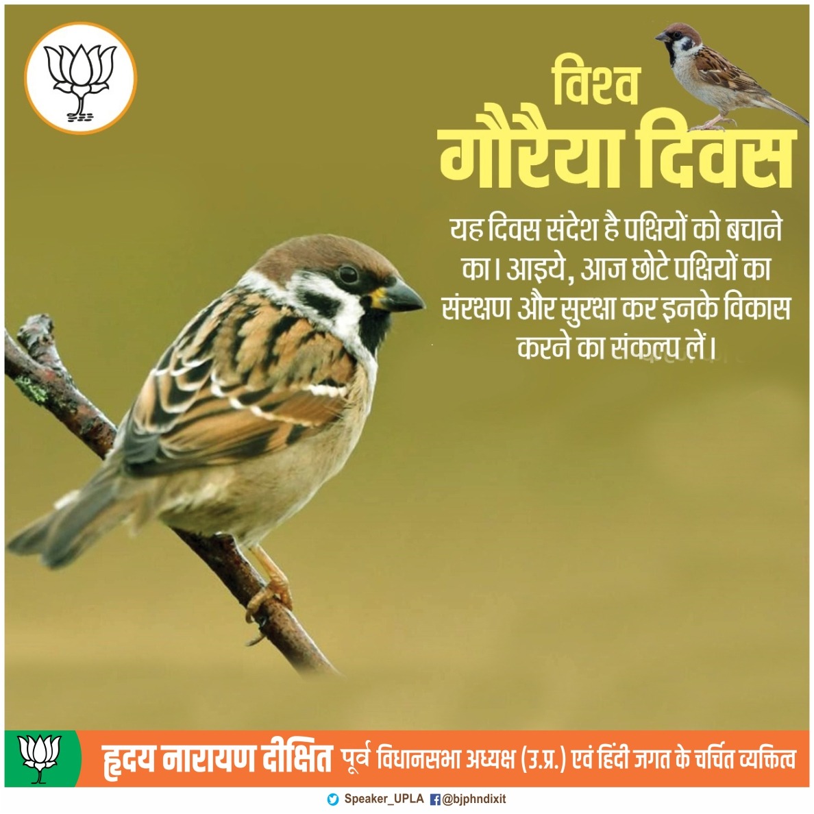 Hriday Narayan Dixit (@Speaker_UPLA) on Twitter photo 2023-03-20 03:51:39 विश्व गौरैया दिवस की हार्दिक शुभकामनाएं। आइये, गौरैया दिवस के अवसर पर नन्ही गौरैया को इस धरा पर चहकने के लिए आदर्श वातावरण देने का संकल्प लें, जिससे इनका संरक्षण और संवर्धन हो सके। #WorldSparrowDay_2023 विश्व गौरैया दिवस की हार्दिक शुभकामनाएं। आइये, गौरैया दिवस के अवसर पर नन्ही गौरैया को इस धरा पर चहकने के लिए आदर्श वातावरण देने का संकल्प लें, जिससे इनका संरक्षण और संवर्धन हो सके। #WorldSparrowDay_2023