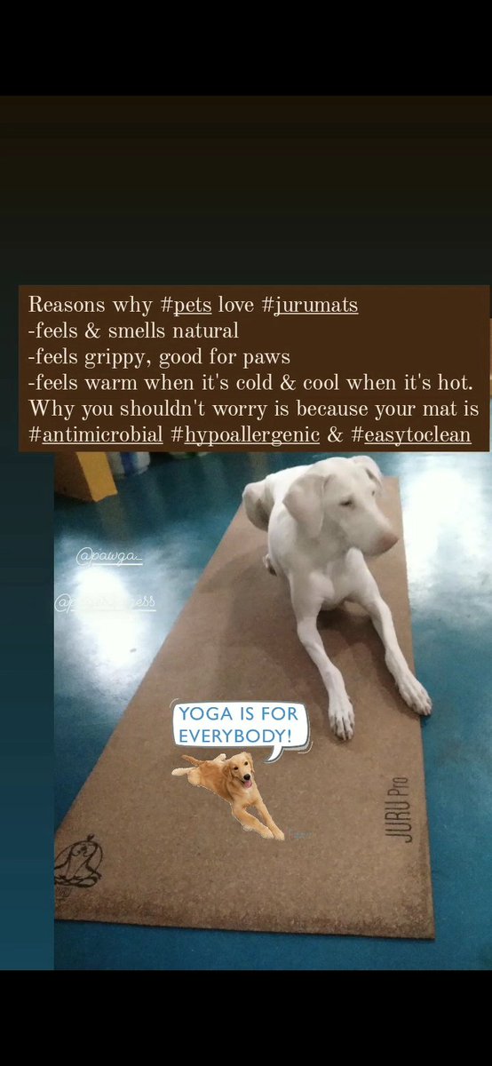 Why #pets love #jurumats ? 

#natural #ecofriendly #bestyogamat #juruyoga #thermalinsulator #washable #madeinindia