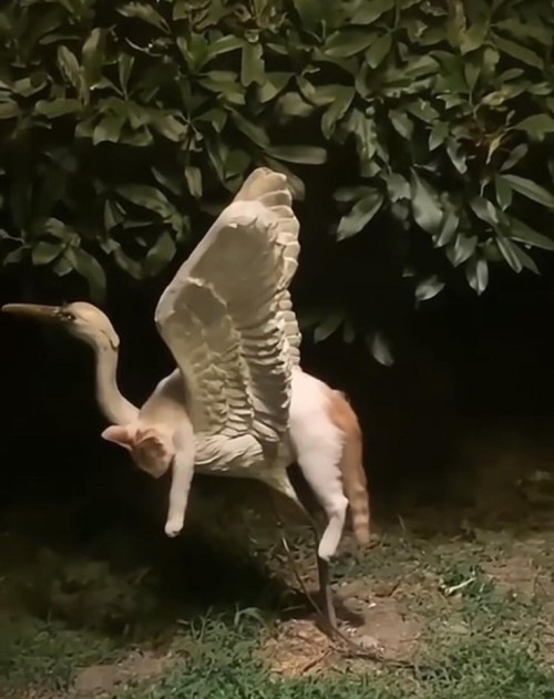 flying gets exhausting