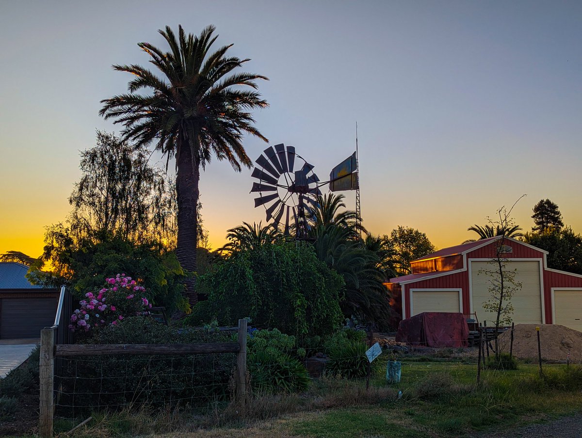 LittleMooonkey's tweet photo. Countryside - Victoria, Australia 📸🐒 https://t.co/jWezGclo7b