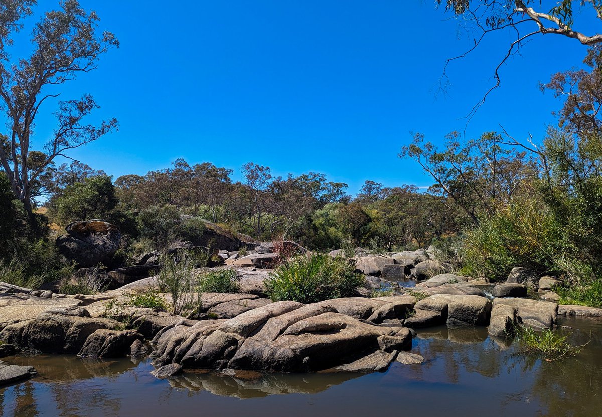 LittleMooonkey's tweet photo. Countryside - Victoria, Australia 📸🐒 https://t.co/jWezGclo7b