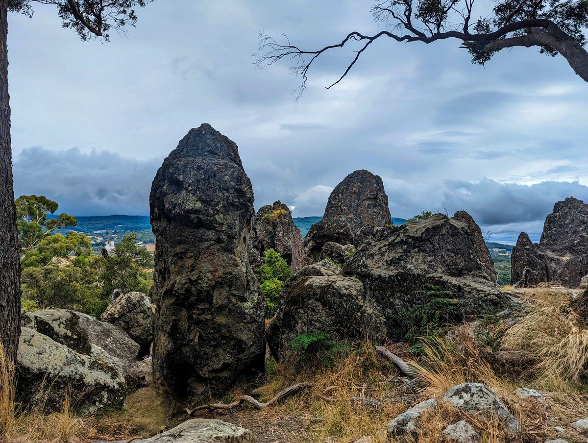 LittleMooonkey's tweet photo. Countryside - Victoria, Australia 📸🐒 https://t.co/jWezGclo7b