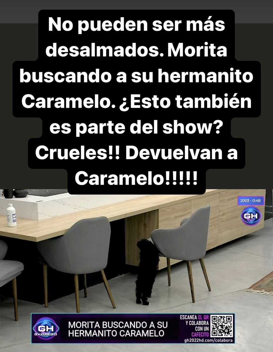 Nikgaturro's tweet photo. Desalmados!!! Crueles!!! Insensibles!!!! Devuelvan a Caramelo!!! #GranHermano2022 #gh23 #GHArgentina #Morita #Romina https://t.co/WYWGCIWFvH