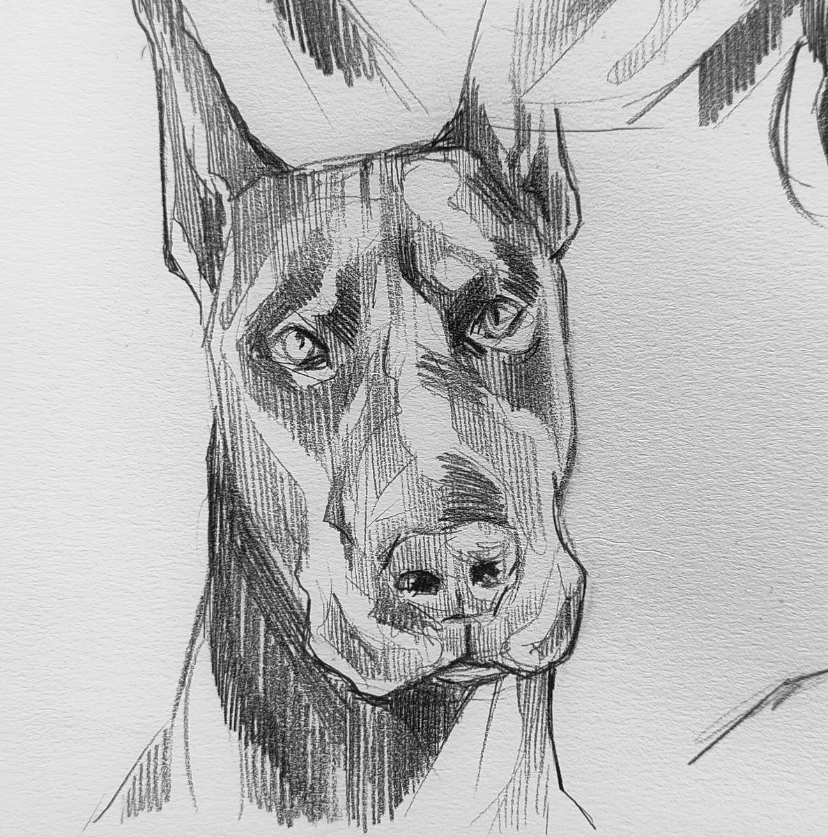 Baconarth's tweet photo. ✍️ 비누비누
#drawing #drawingart #drawings #sketch #sktching #Pencildrawing #art #Artists #ArtistOnTwitter https://t.co/bILzbL1Bjf