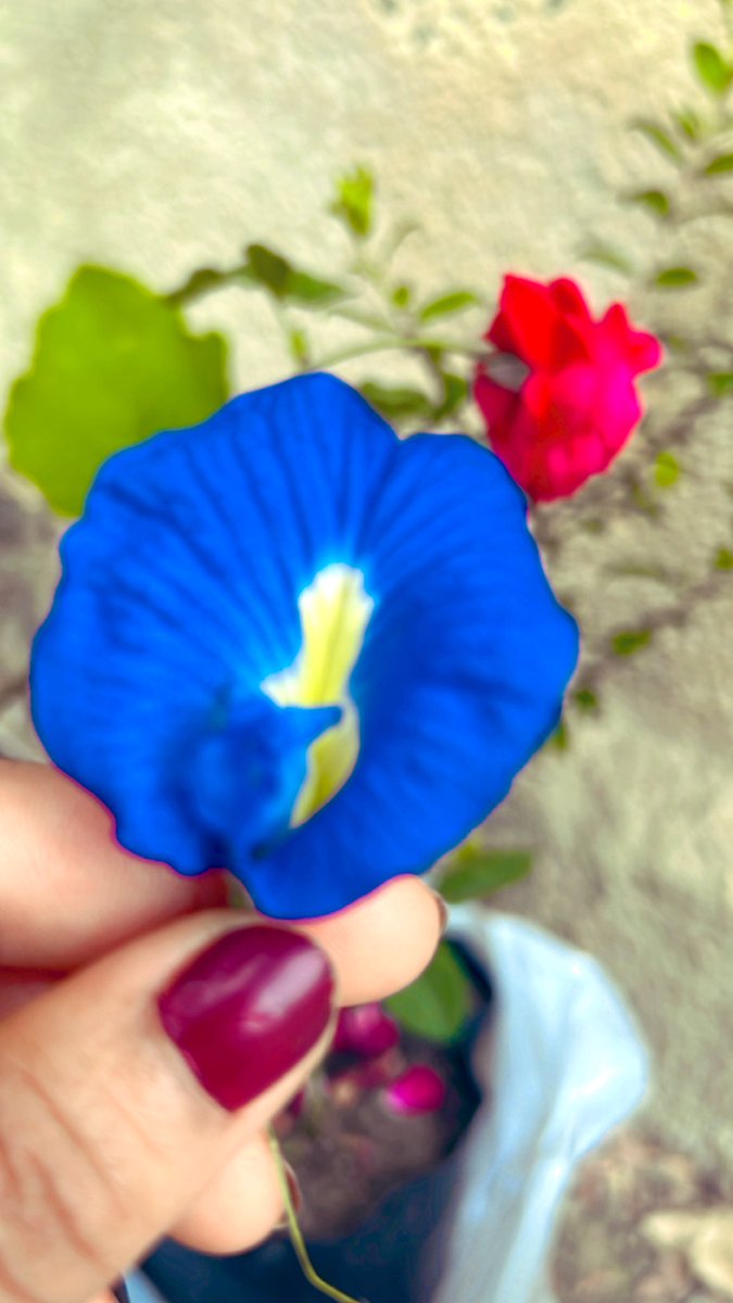 " الشمس لا تنتظر استيقاظك لتمنحك النور، ولا الزهر ينتظر اقترابك ليمنحك العطر ..
كن مثلهما .. بادِر بالخير ولا تنتظر المقابل