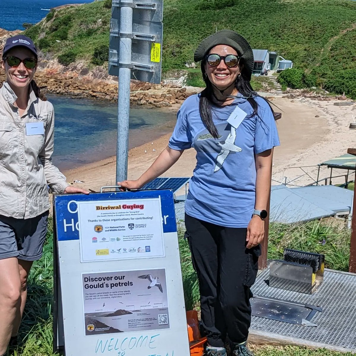 AUS_NZ_Seabirds's tweet photo. What a wonderful day to celebrate Birriwal Guying, Gould's Petrel at Broughton Island, Worimi Country!
@dryunakim &amp; Emily Mowat represented ASG to talk about Oz's rarest petrels at the community day. 
This Our Marine Parks Grant project received funding from Australian Government https://t.co/eUgSdYkUx4
