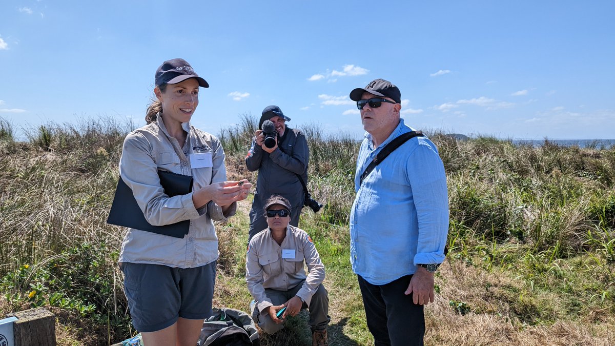 AUS_NZ_Seabirds's tweet photo. What a wonderful day to celebrate Birriwal Guying, Gould's Petrel at Broughton Island, Worimi Country!
@dryunakim &amp; Emily Mowat represented ASG to talk about Oz's rarest petrels at the community day. 
This Our Marine Parks Grant project received funding from Australian Government https://t.co/eUgSdYkUx4