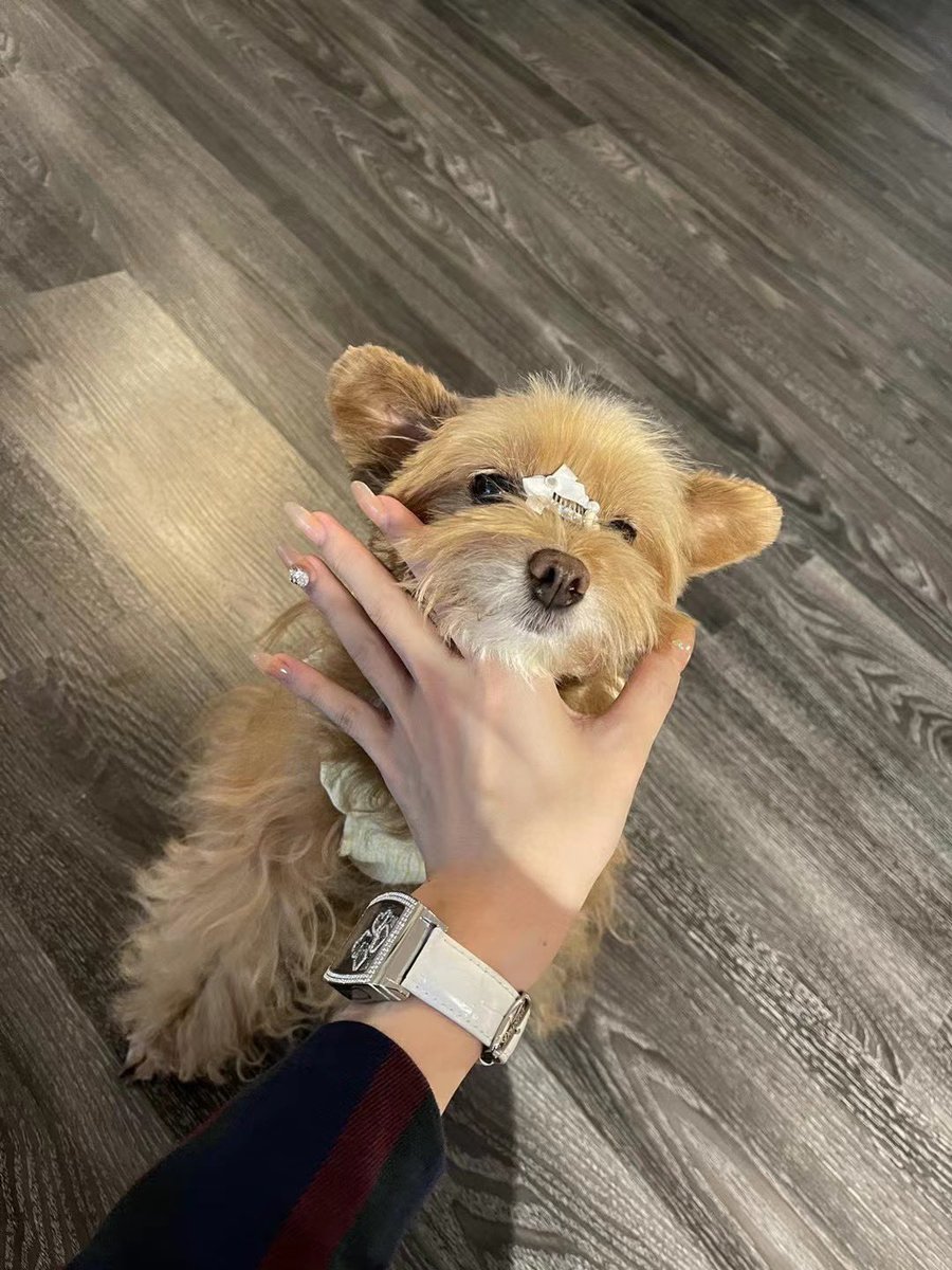 junikxxxx's tweet photo. 好想我的崽 https://t.co/pyu174xhLq