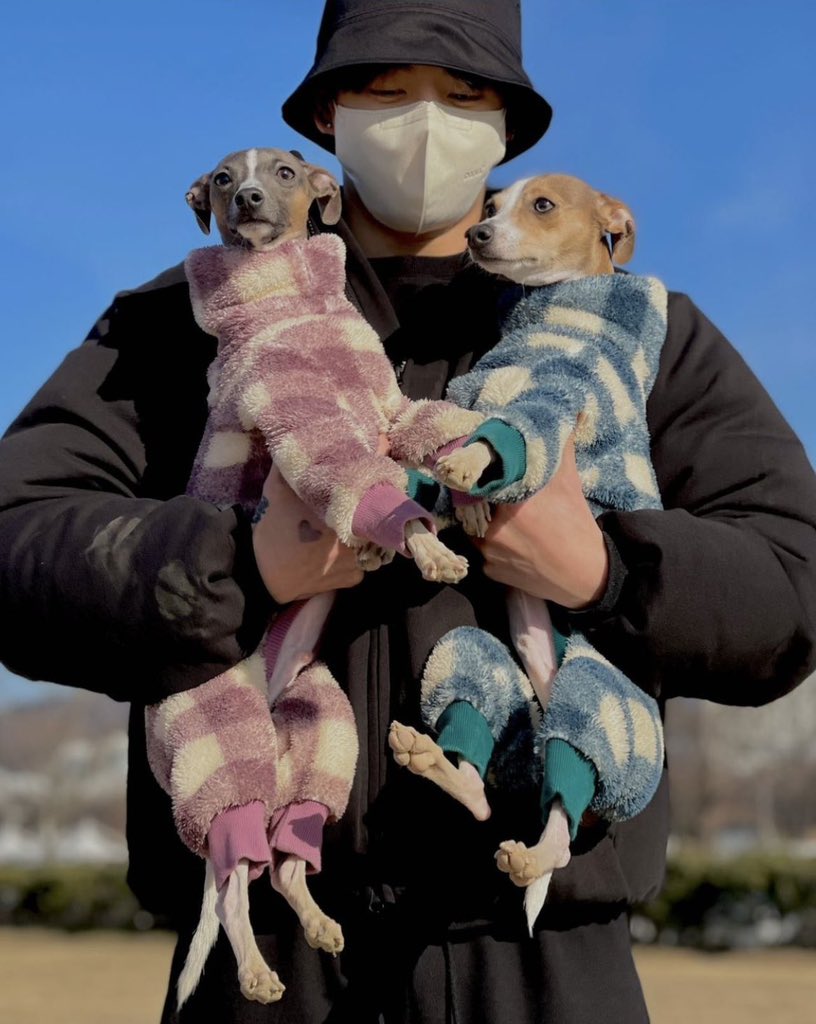 Daily_JKUpdate's tweet photo. 🐶🐰😭♥️
 #LeftandRight #BestMusicVideo #iHeartAwards https://t.co/9VzTSKlGLf
