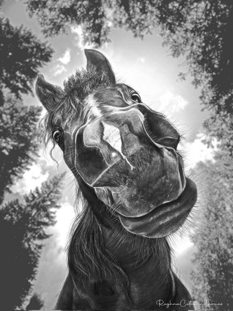Cryptogod_Naman's tweet photo. GM World 🌏

Monday will test your patience, here's something to make your Monday better 😉

Please share Monday-friendly artworks 👇 https://t.co/Ifd3yh7YE0