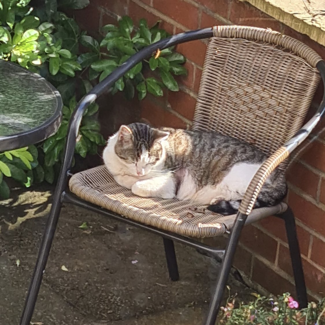 Webistics Limited tweet media