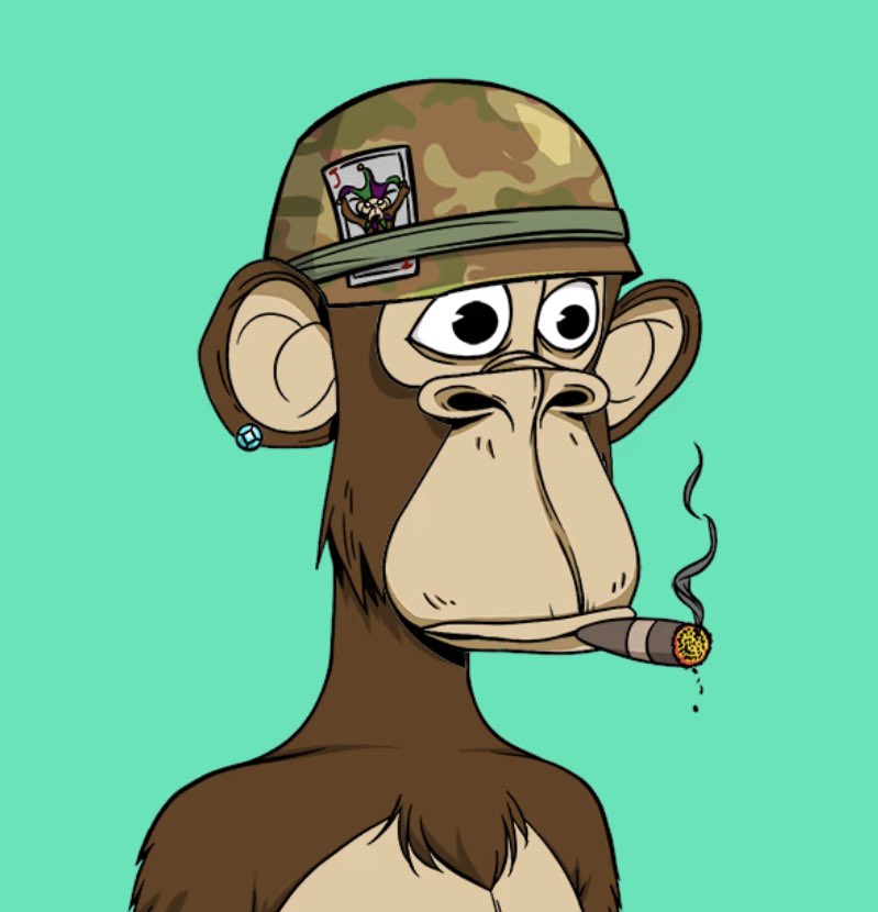 Apelicious 🍌 tweet media