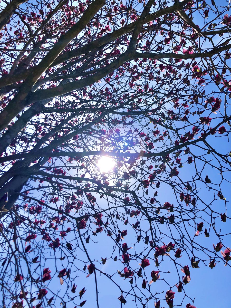 イマソラ　津市の空