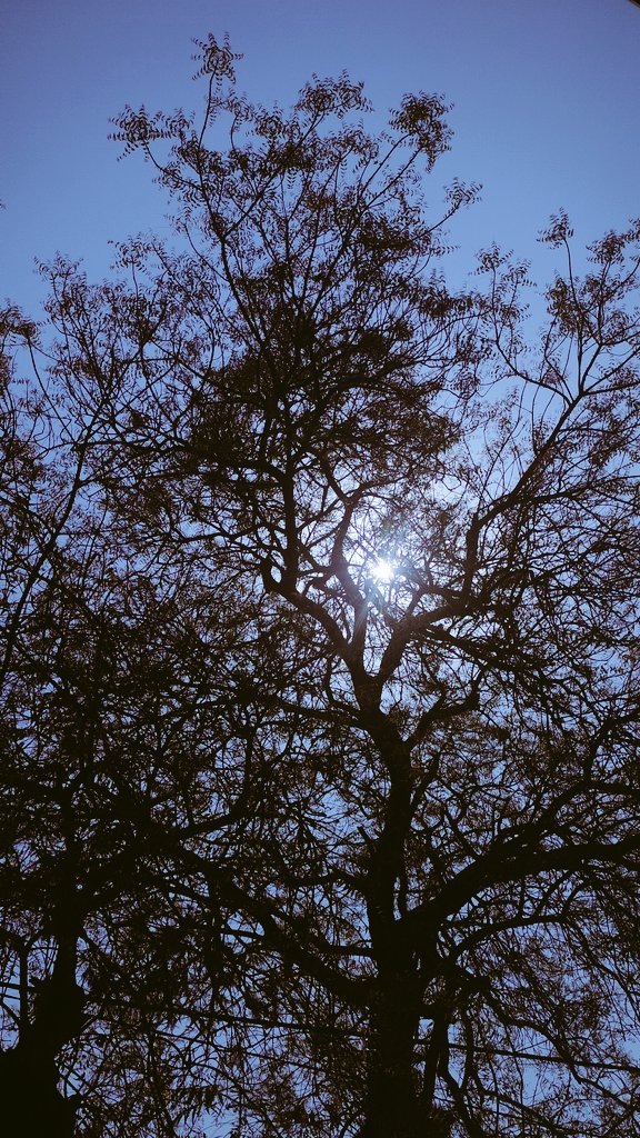 "There's something beautiful about
keeping certain aspects of your life
hidden. Maybe people and clouds
are beautiful because you can't seeeverything."

-Kamenashi Kazuya