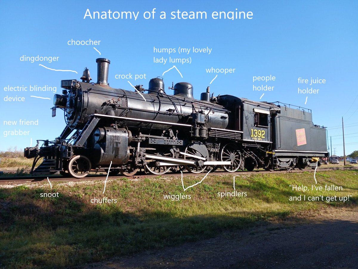 Trust me guys, I'm an expert.