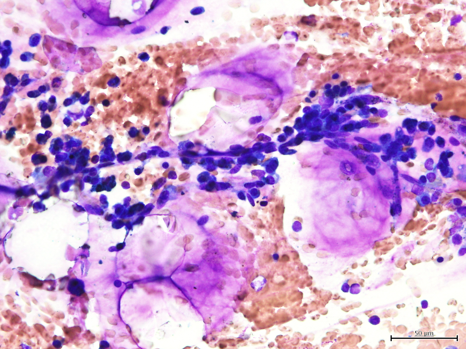 もう64歳大学院生 on Twitter 