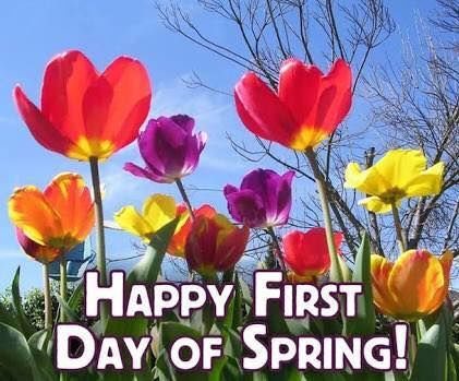 CAT1PRO's tweet photo. #Hey #Everybody...
#HappySpring2023 https://t.co/MWRFjLBDod