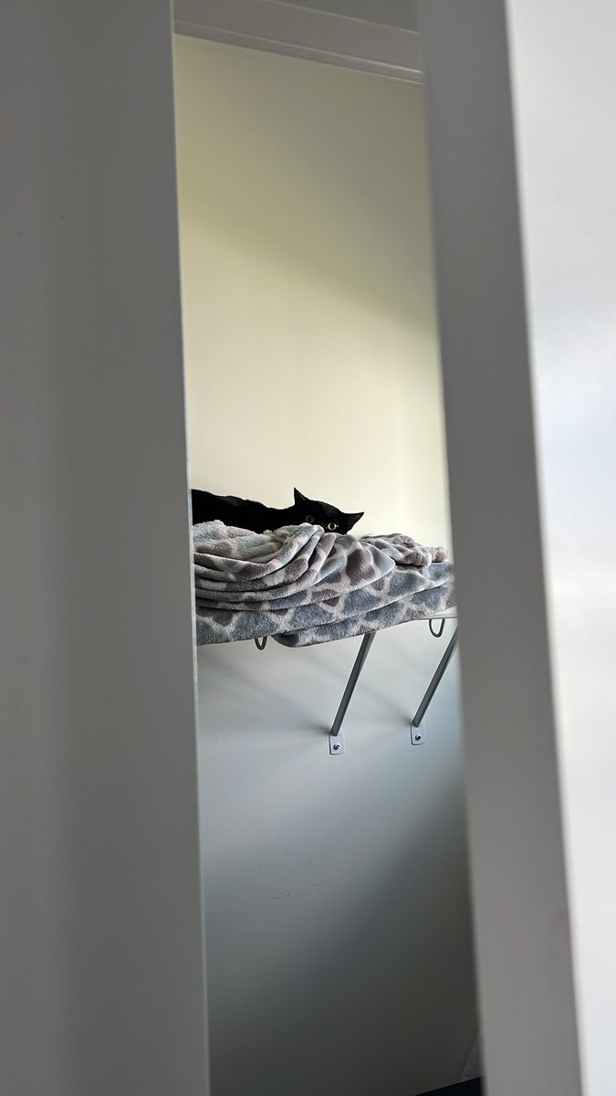 Someone didn’t like that I was taking a phone call near their napping location. How rude of me