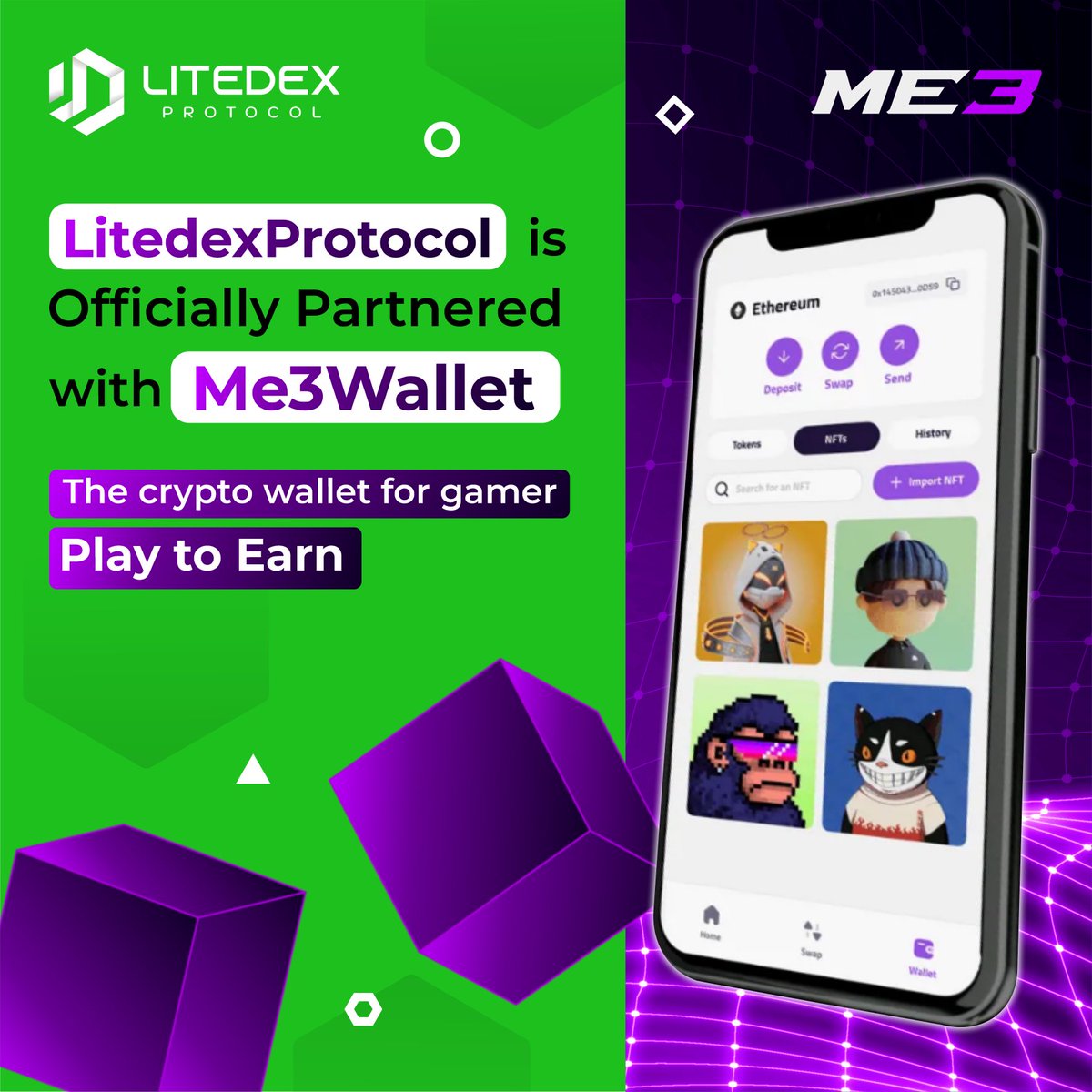 Litedex Protocol tweet media