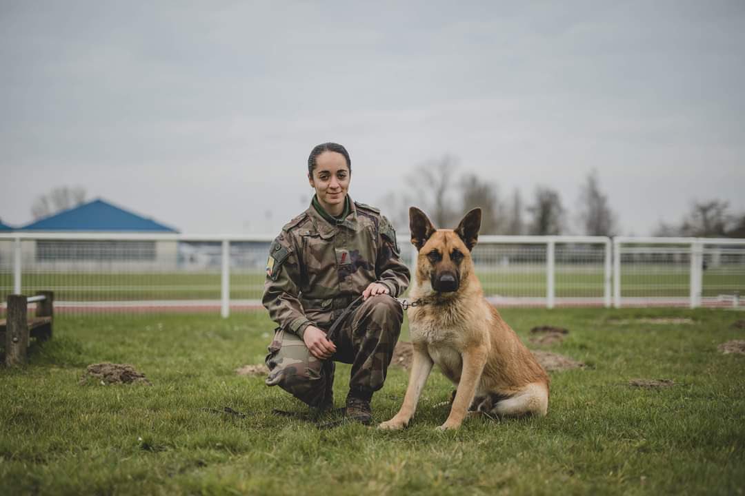 comlogterre1's tweet image. Parce que le @121e_RT dispose d’un Élément cynotechnique de détection, il recrute aussi des soldats canins 🐕 !
Bienvenus à Trigo et Tarry qui rejoignent les rangs de la grande famille du #COMLOG 👍
#CapaciTERRE 
📸 Tifenn Le Bris
