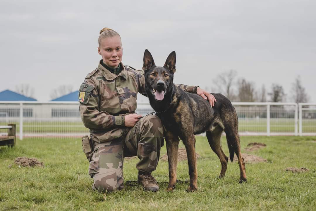 comlogterre1's tweet image. Parce que le @121e_RT dispose d’un Élément cynotechnique de détection, il recrute aussi des soldats canins 🐕 !
Bienvenus à Trigo et Tarry qui rejoignent les rangs de la grande famille du #COMLOG 👍
#CapaciTERRE 
📸 Tifenn Le Bris