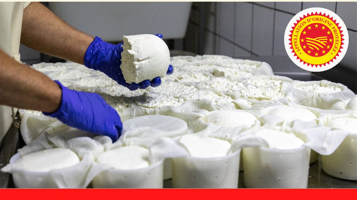 [LE CHIFFRE🔑] 2⃣5⃣% 
C’est la part que représentent les fromages #AOP dans la fabrication de #fromages en France en 2021 (hors fromages fondus, frais et à pâtes filées).