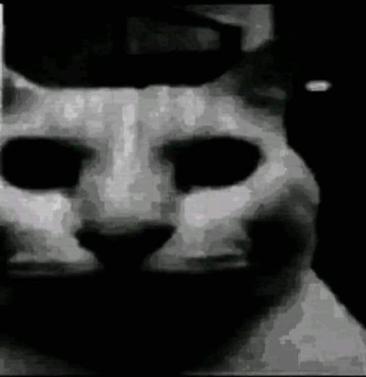 Markenergie's tweet photo. @VironixVR Shut up, im chonky https://t.co/yLV103nijT